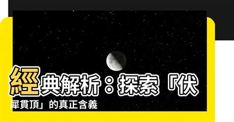 伏犀貫頂|伏犀貫頂